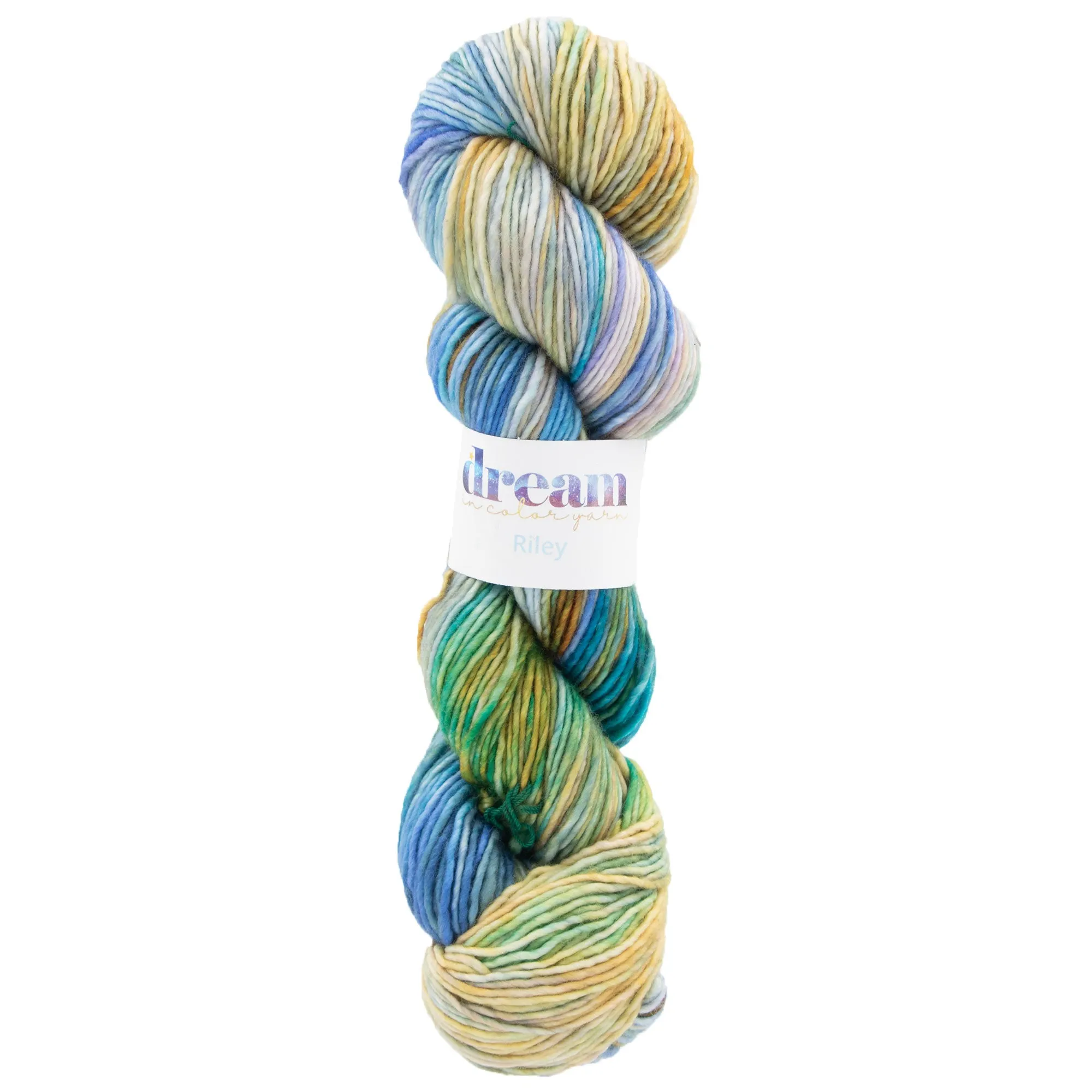 Dream in Color Riley Yarn - Water Dragon